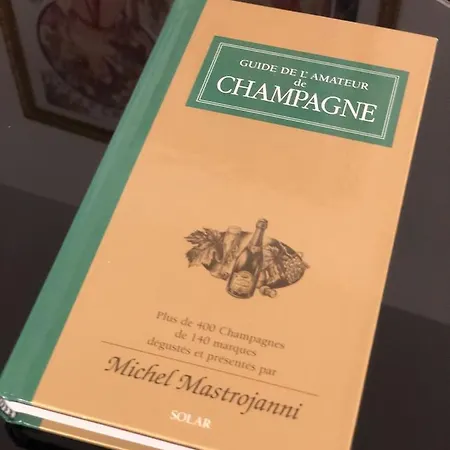 Résidence Champenoise Lancelot Rouyer St Rémy Apartamento *